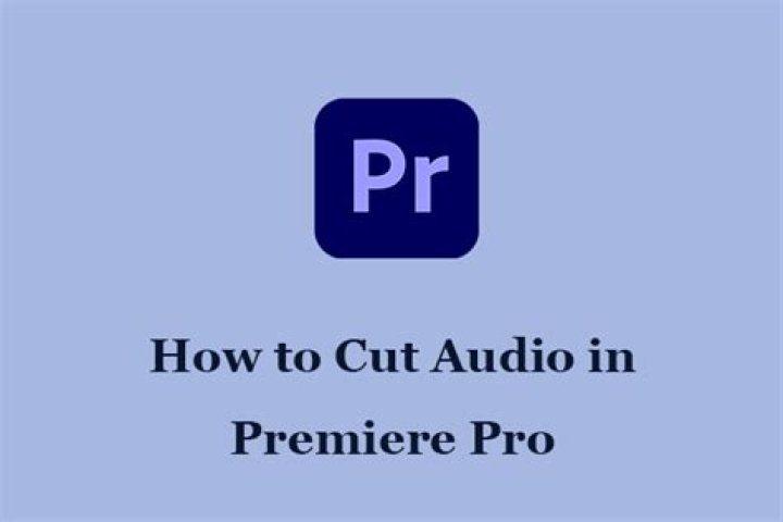 Question: How To Cut Audio In Premiere