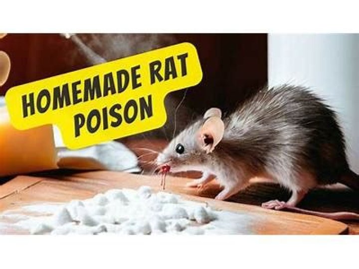 Quick Answer: How To Diy Mouse Poison