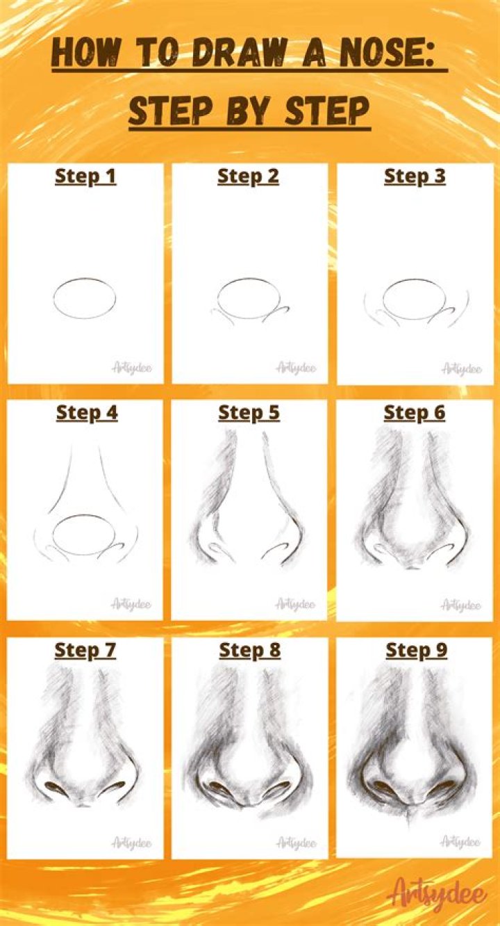Quick Answer: How To Draw A Animated Nose Step By Step