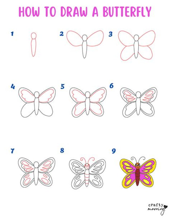 Question: How To Draw A Beautiful Butterfly Step By Step