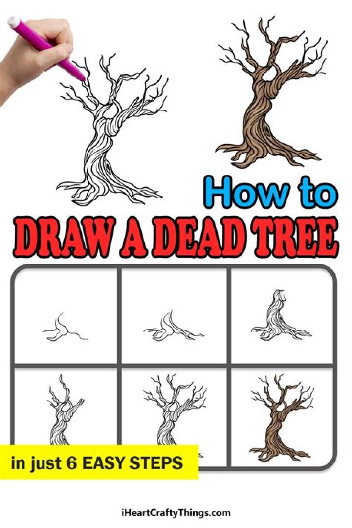 How To Draw A Dead Tree