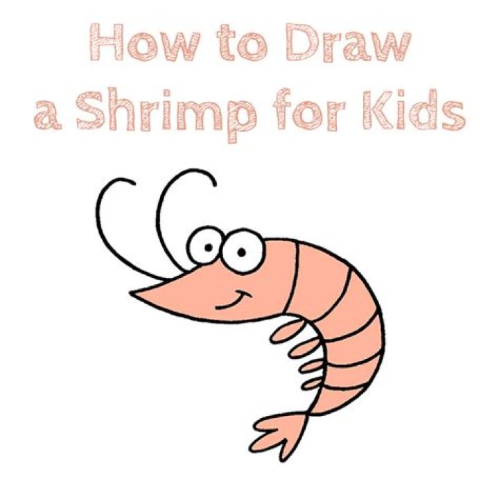 Quick Answer: How To Draw A Shrimp
