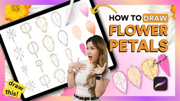 Quick Answer: How To Draw Flower Petals