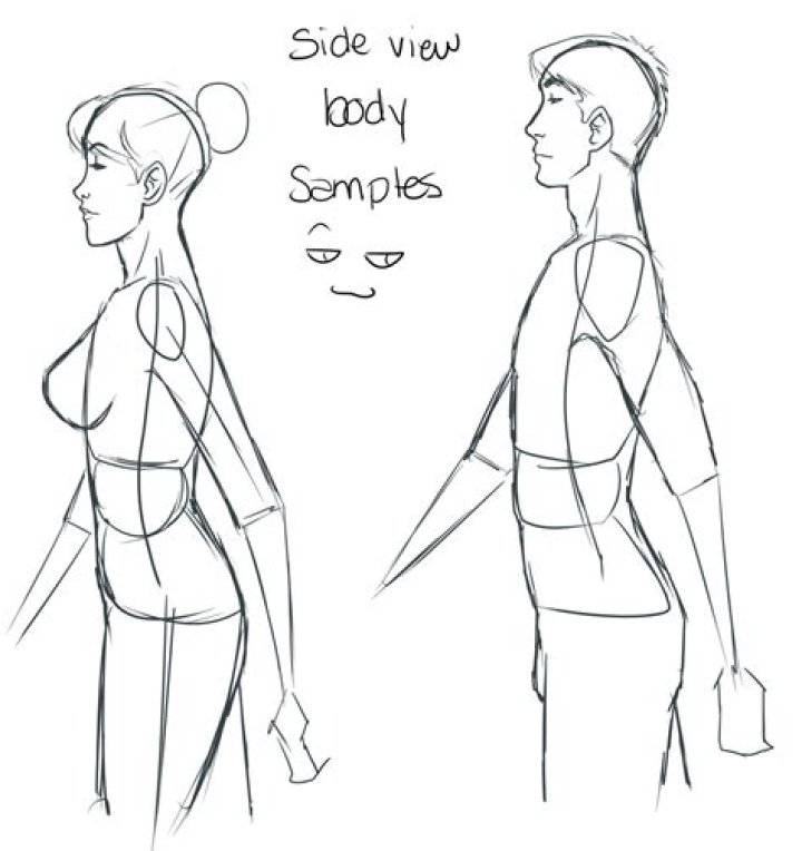 Question: How To Draw Side View Body