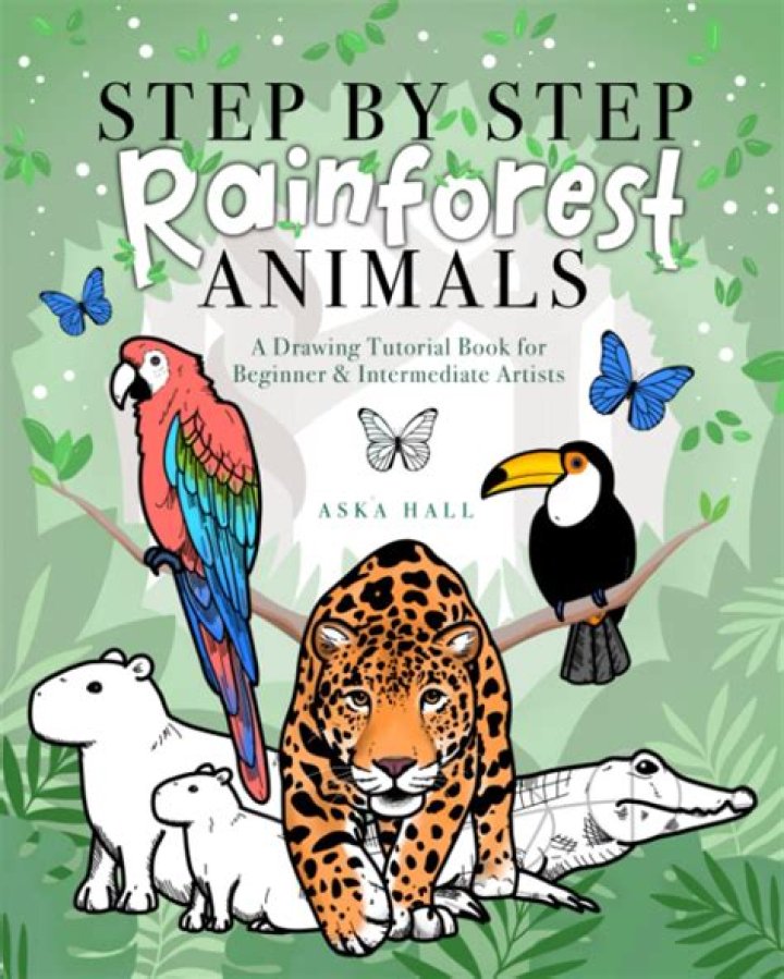 How To Draw Simple Step By Step Rainforest
