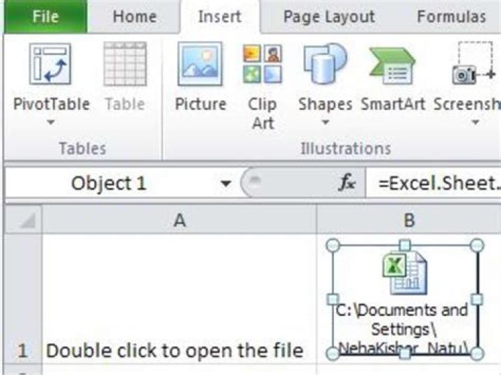 Quick Answer: How To Embed A File In Excel