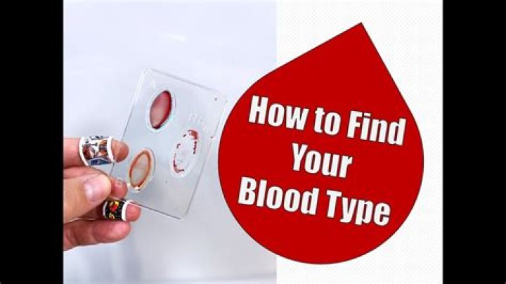 Quick Answer: How To Figure Out Blood Type Diy