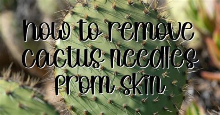 How To Get Fine Cactus Needles Out Of Skin