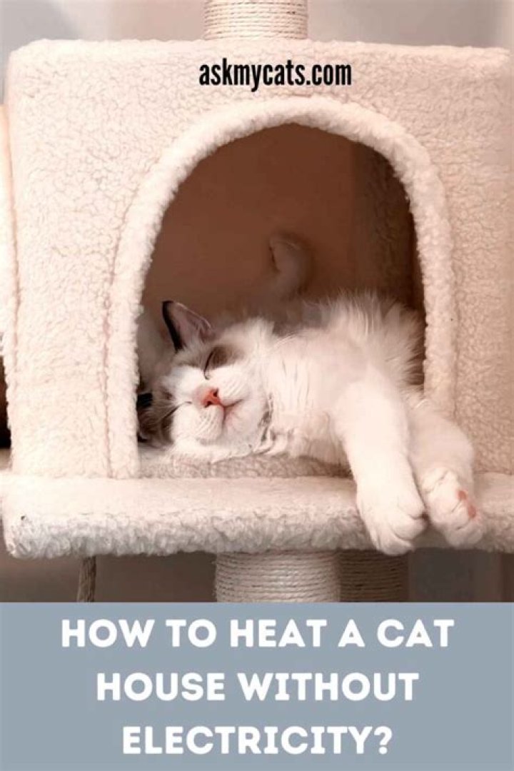 How To Heat A Cat House Without Electricity