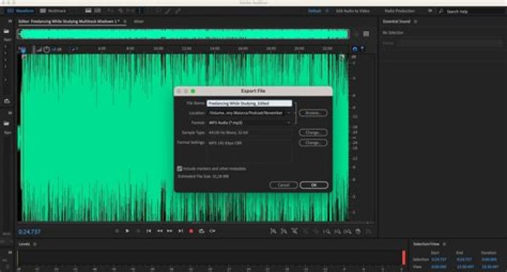 How To Increase Bass In Adobe Audition
