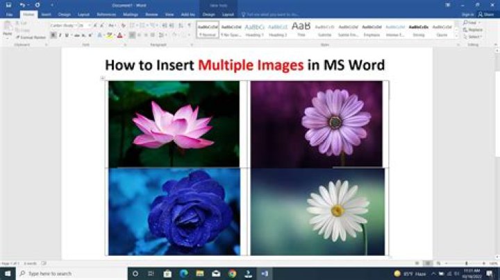 Question: How To Insert Multiple Gifs In One Canvas Without Psd