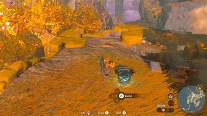 How to Make Monster Curry in Tears of the Kingdom (TotK)