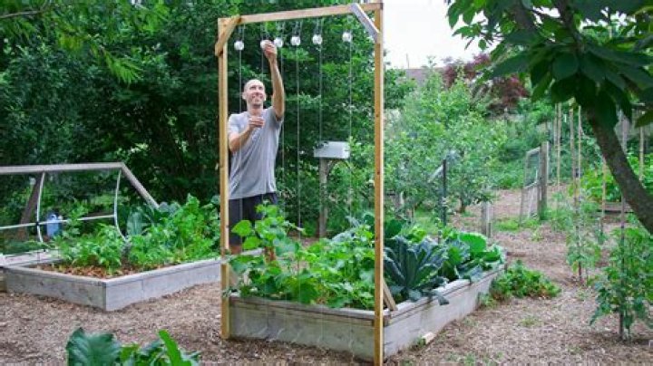 How To Make Trellis Netting