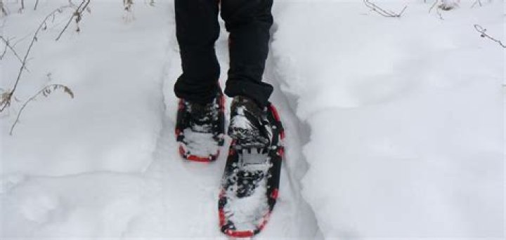 How To Make Your Own Snowshoes