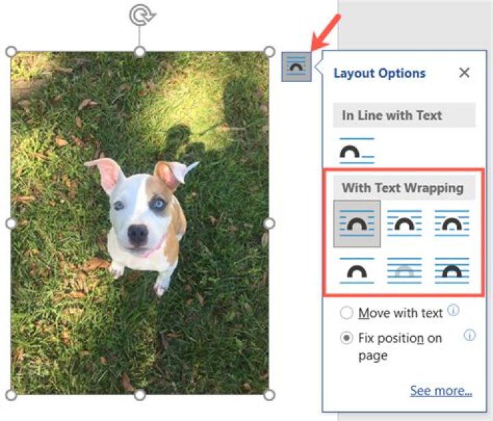Quick Answer: How To Overlay Pictures In Word