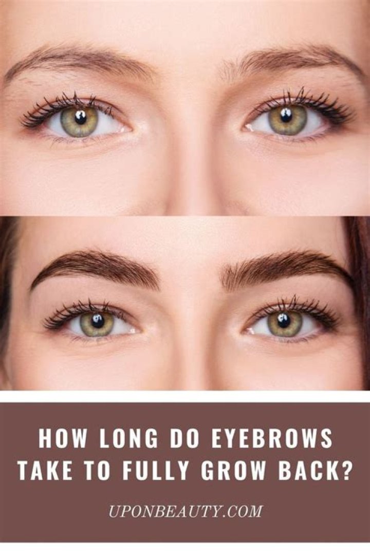 How To Grow Eyebrows Back After Overplucking and Microblading — See Photos