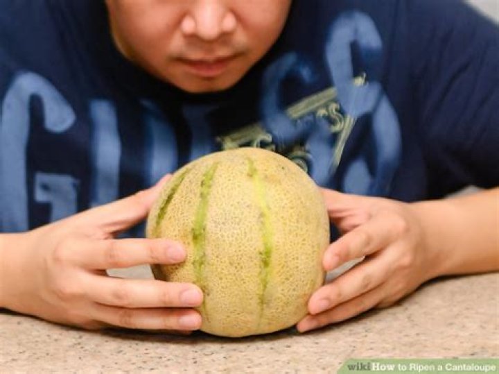 How To Ripen Cantaloupe Faster
