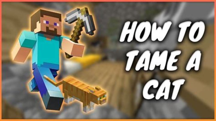 Quick Answer: How To Tame A Cat In Minecraft Pc