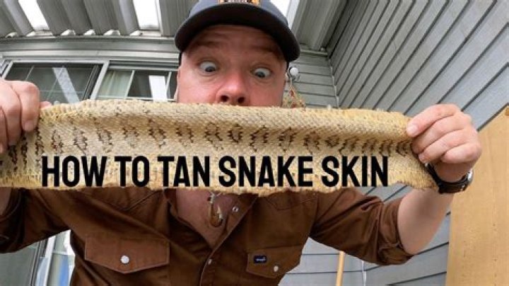 How To Tan A Snakeskin With Salt