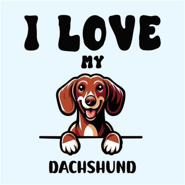I Love My Dachshund: A Heartfelt Journey Of Love And Companionship