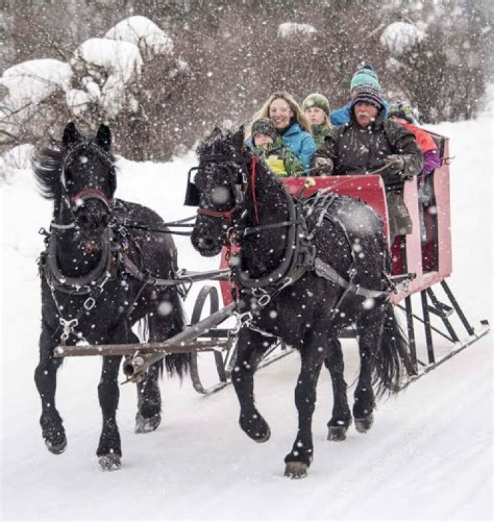 Idaho Adventure: Hap & Florence Points Sleigh Rides