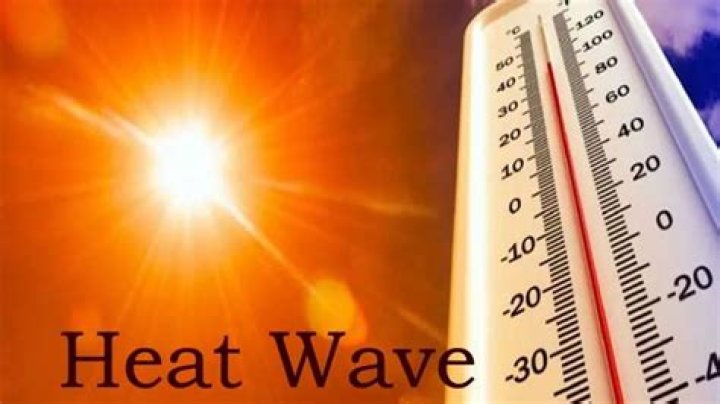 Temperature likely to go up to 44 degrees Celsius in Ludhiana: IMD – India TV