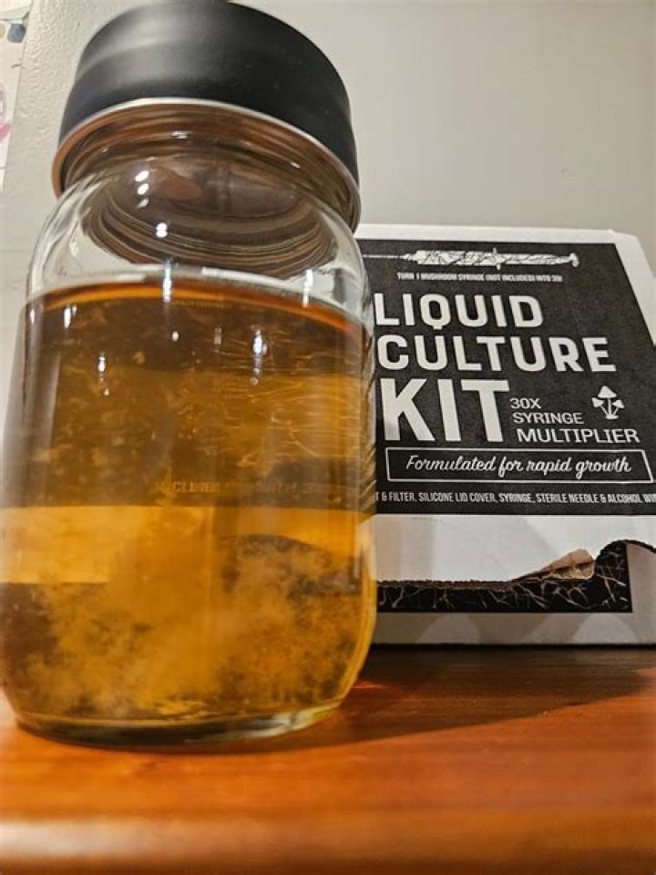 Empowering Humanity: The Journey To Innoculate The World