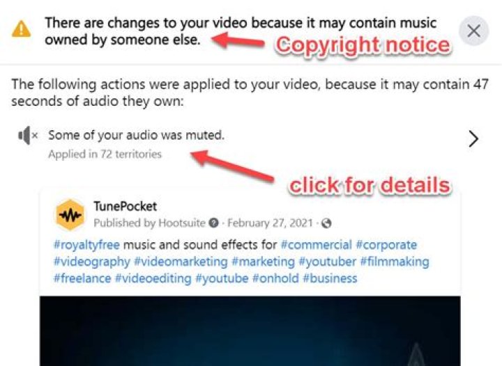 Instagram will now DELETE your videos for playing music 'you don't hold copyright for' – watch out for this warning
