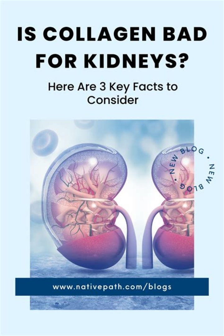 Is Collagen Bad For Kidneys