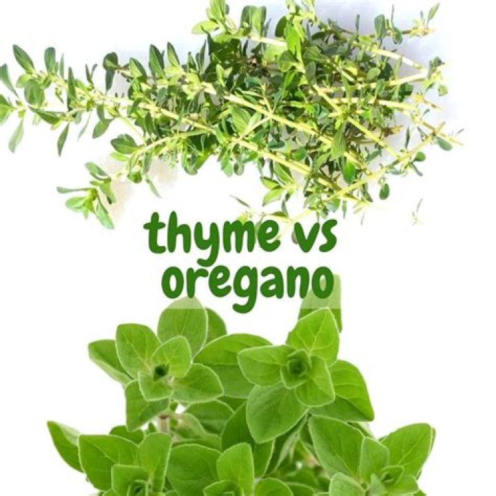 Is ground thyme the same as dried thyme?