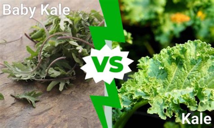 Is there a difference between baby kale and kale?