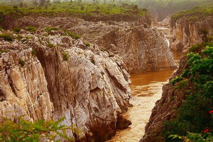 Jabalpur Latest News, Photos and Videos