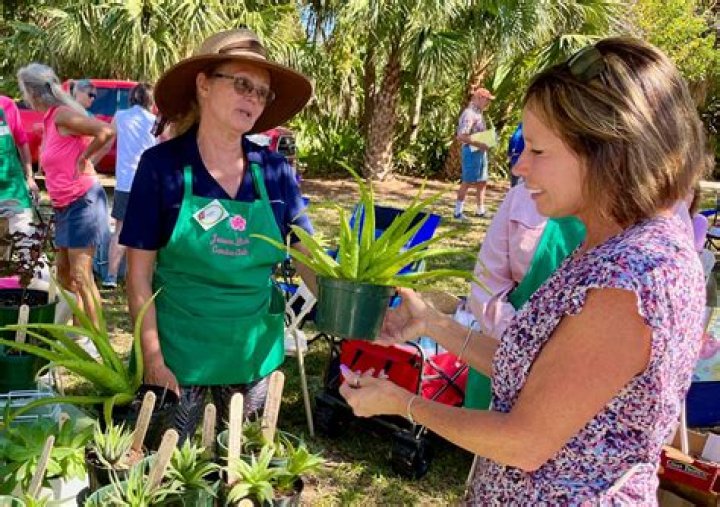 Jensen Beach Garden Expo Returns Next Month