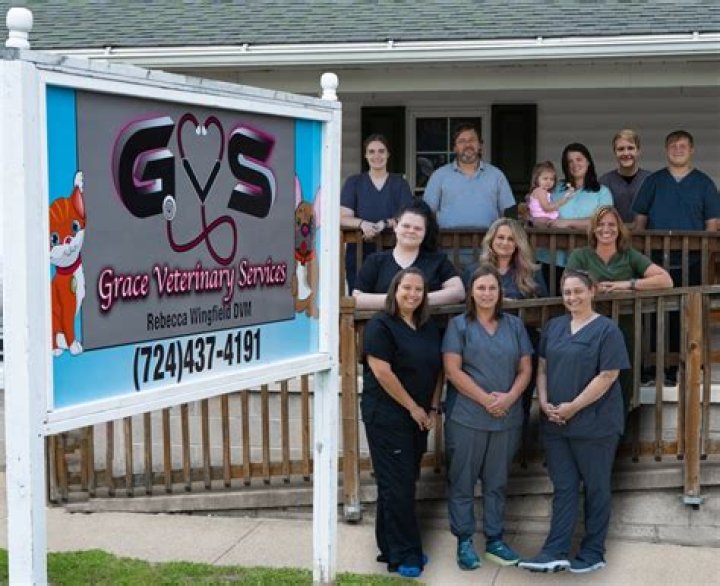 Johanna Wade’s Local Impact Through Wade Veterinary Services