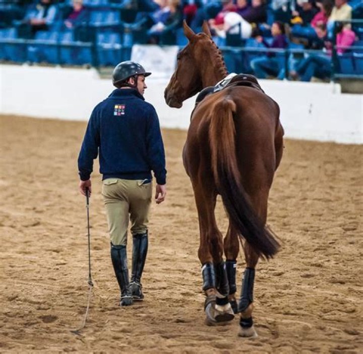Unraveling The Expertise Of John Endicott: The Horse Trainer Extraordinaire
