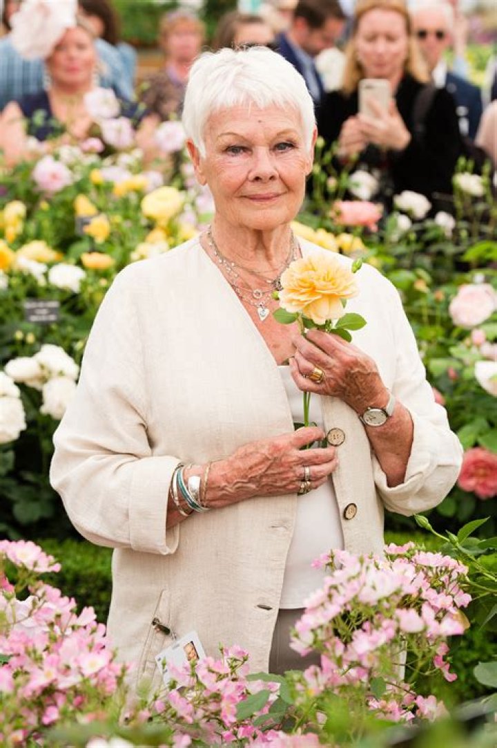 Judi Dench Through the Years: The Actress’ Life in Photos