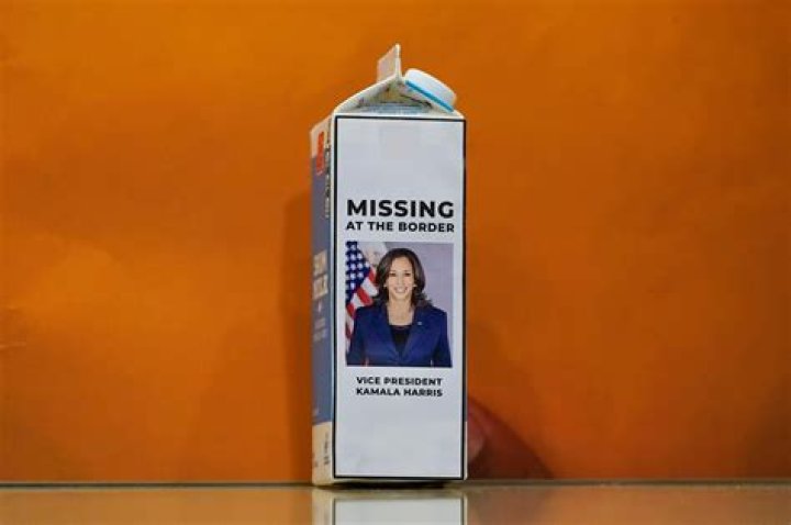 Kamala Harris dubbed 'MISSING' on GOP leader's milk carton as she avoids visiting Mexico border for 22nd day