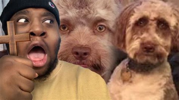 Kardashian critics think Kylie Jenner's lips look like 'HOT DOGS' after they spot 'creepy' detail in new video