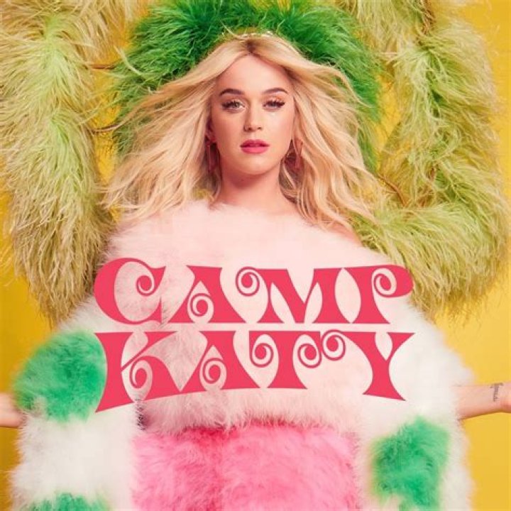 Katy Perry's Camp: A Journey Through Color And Creativity