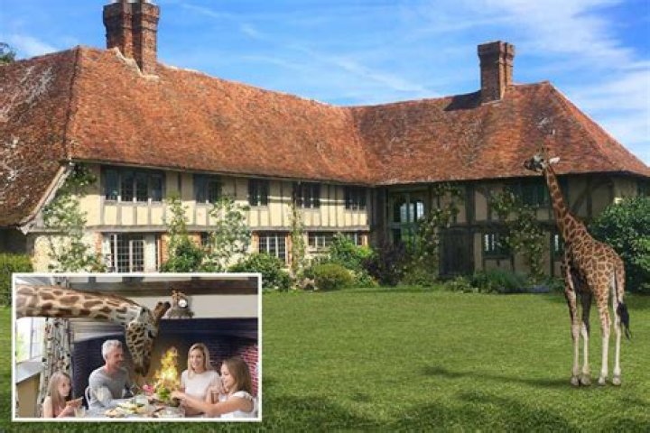 Opening of Kent's giraffe hotel - where you can dine with the animals - delayed again