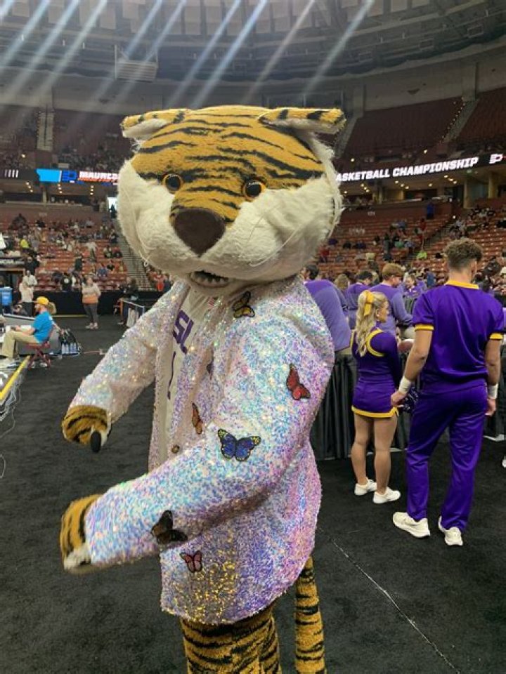 Kim Mulkey's Unforgettable Tiger Outfit: A Symbol Of Team Spirit