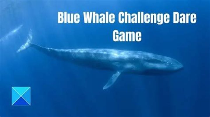 Not only Blue Whale Challenge, these 5 insane online games are also dangerous for your kids – India TV