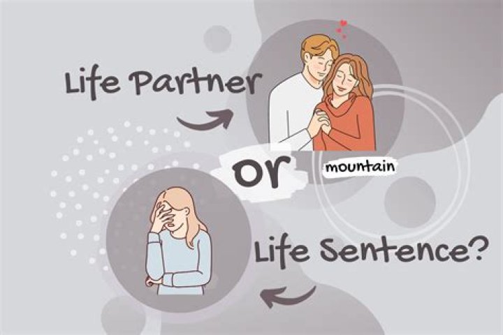 Life Partner Day 2024: Celebrating Love And Commitment