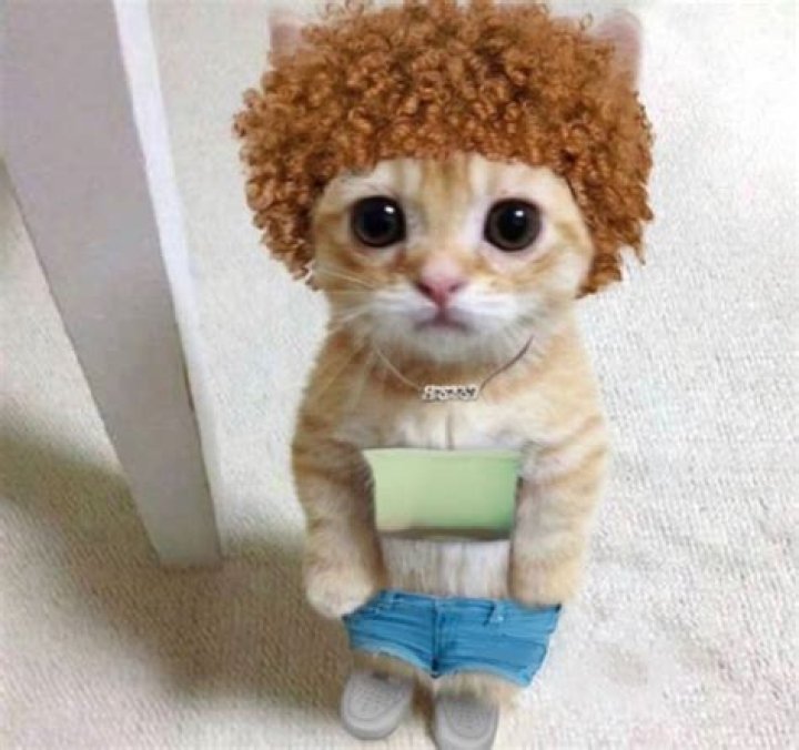 Unraveling The Meaning Behind "Like Grah Keep It A Stack"