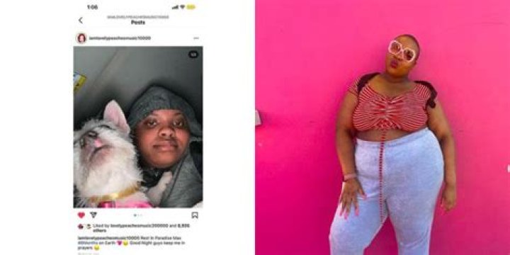 Lovely Peaches Arrest: What You Need To Know About The Controversial Influencer