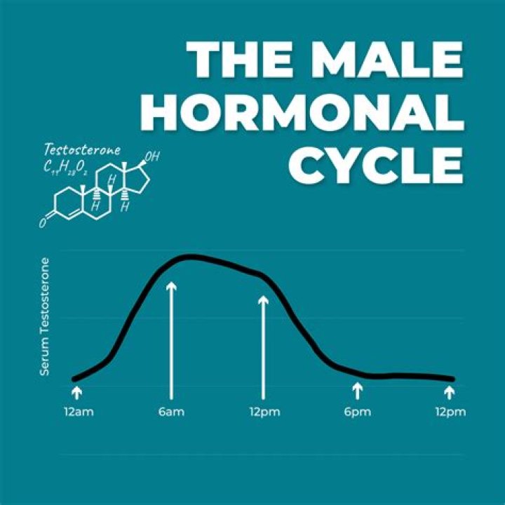 These Are The Key Differences Between Male And Female Hormonal Cycles