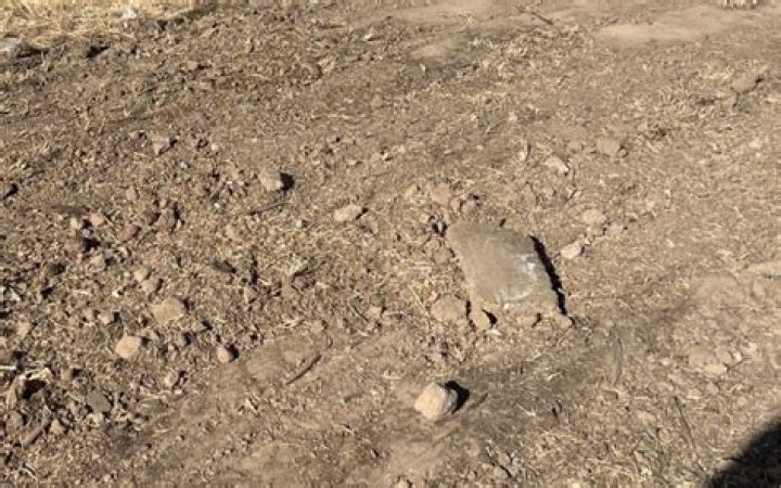 Man Makes Eerie Discovery While Digging Up Backyard–'Extremely Freaked Out'