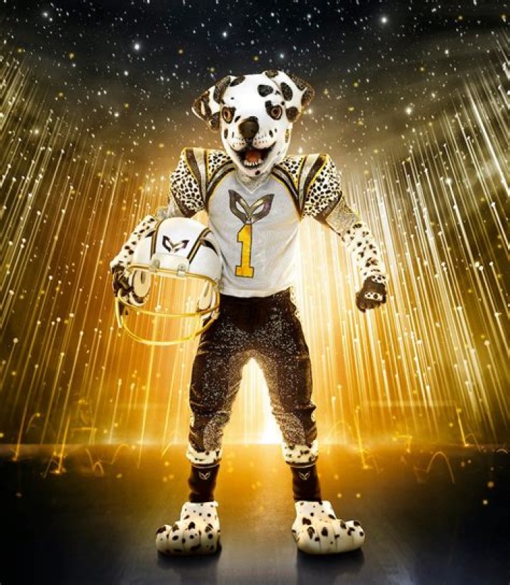 The Masked Singer: Who is Dalmatian?