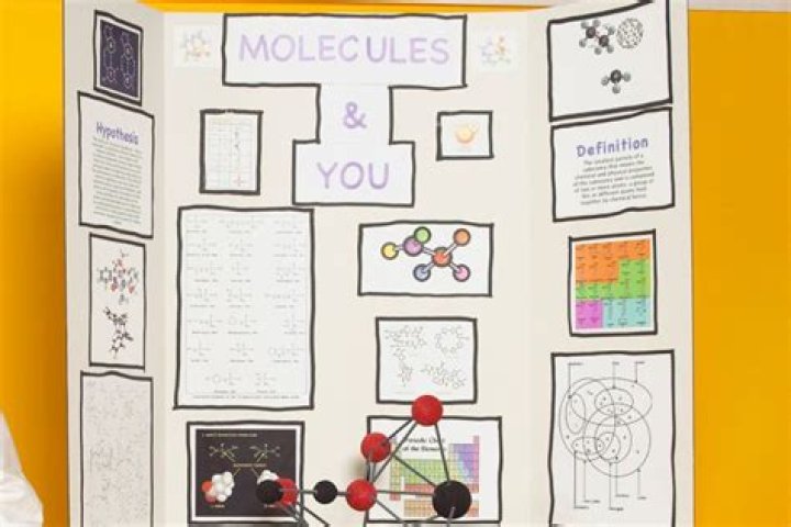 Internet Laughs as Math Project With Secret X-Rated Message Wins Fair