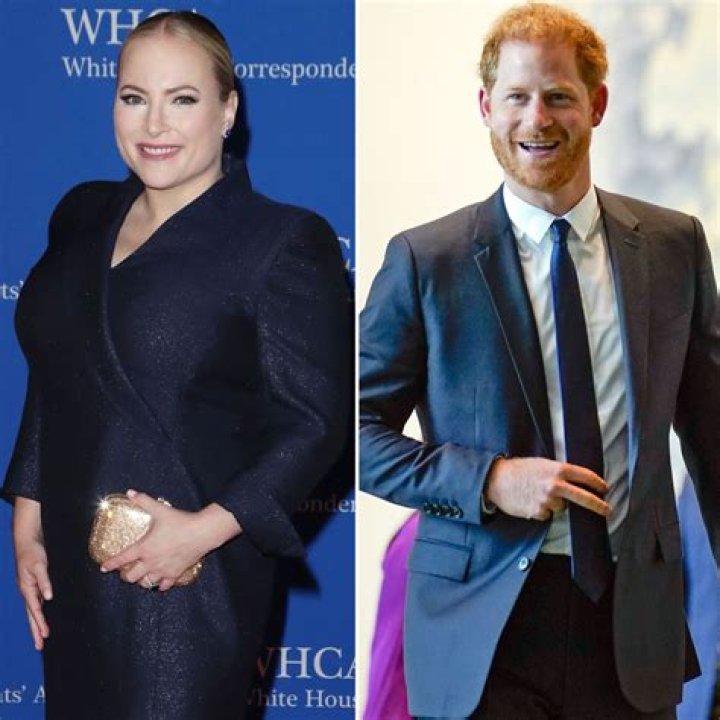 Meghan McCain Slams Prince Harry After United Nations Speech